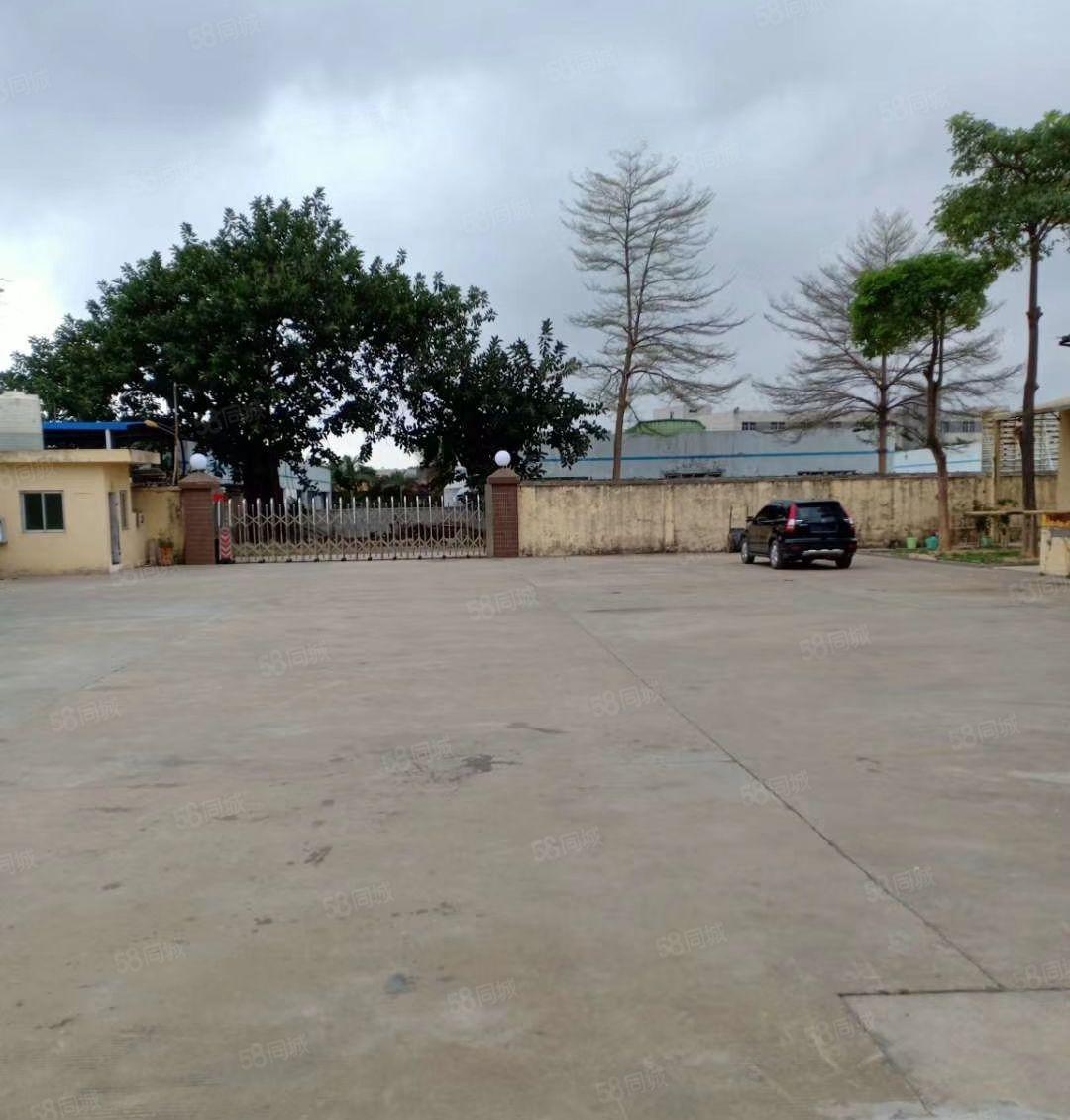 仲恺陈江镇单一层独院厂房3500平方滴水8米空地2000平方