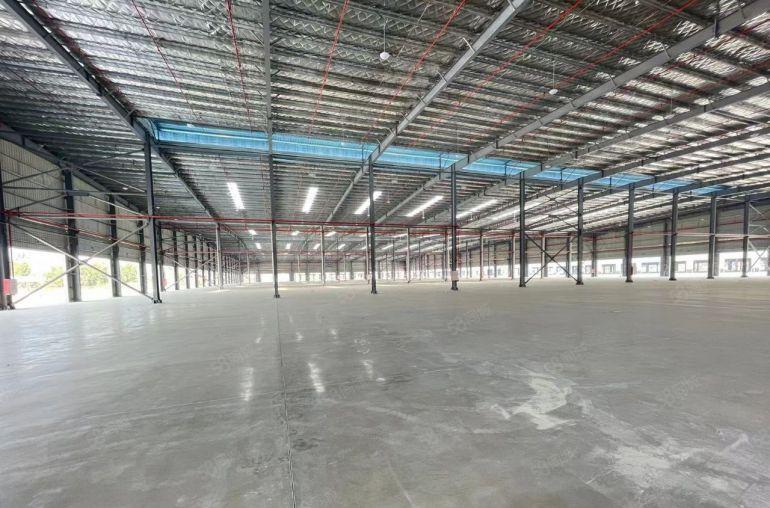 新出仲恺厂房 适合中转商超电商冷链仓储物流大型冷冻