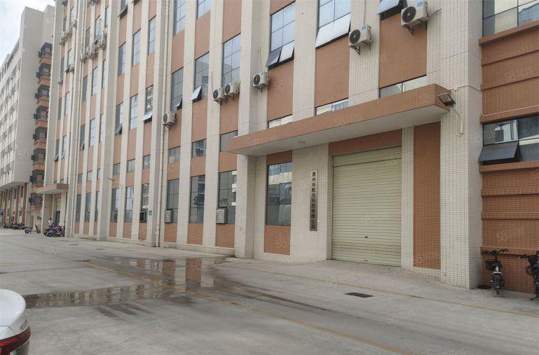 陈江7元厂房火爆招租错过拍大腿证件齐全带装修空地大