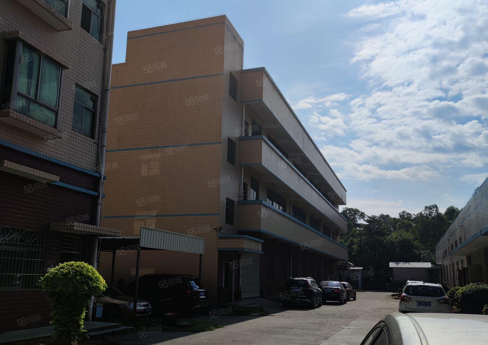 惠环镇标准9200平小独院厂房出租，空地大，有红本！价格便宜