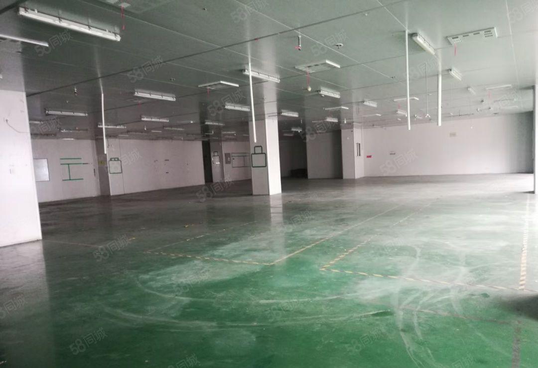 仲恺高新区陈江标准厂房带装修1500平可分租