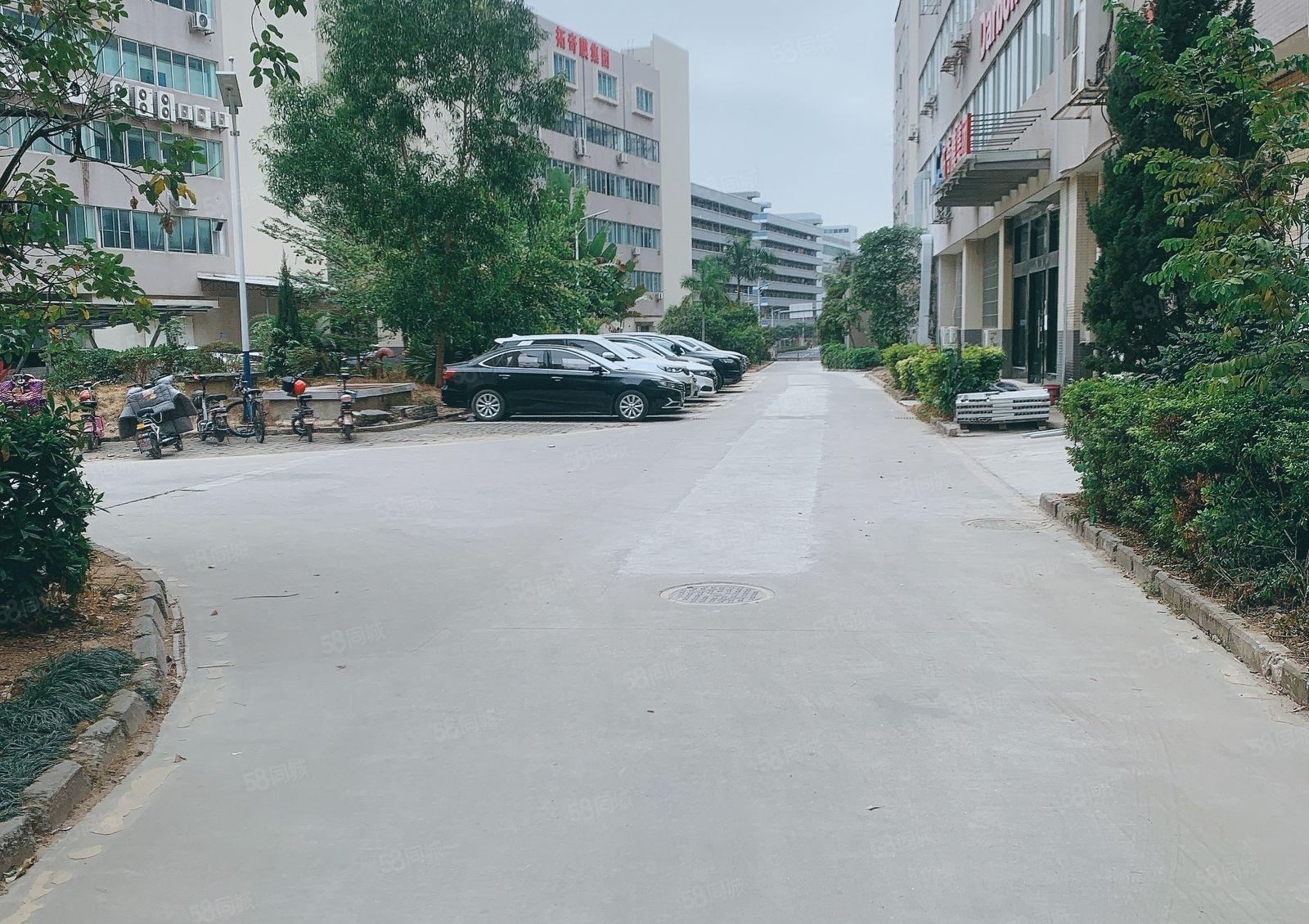 仲恺陈江原房东精装修2000一楼层高6米1000仓库厂房出租