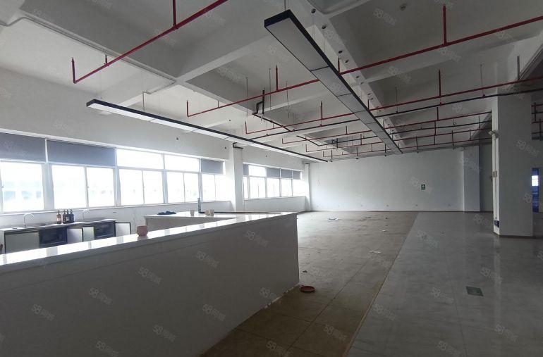 独门独院精装修带中央空调厂房出租 水电齐全可办证 可进拖头车