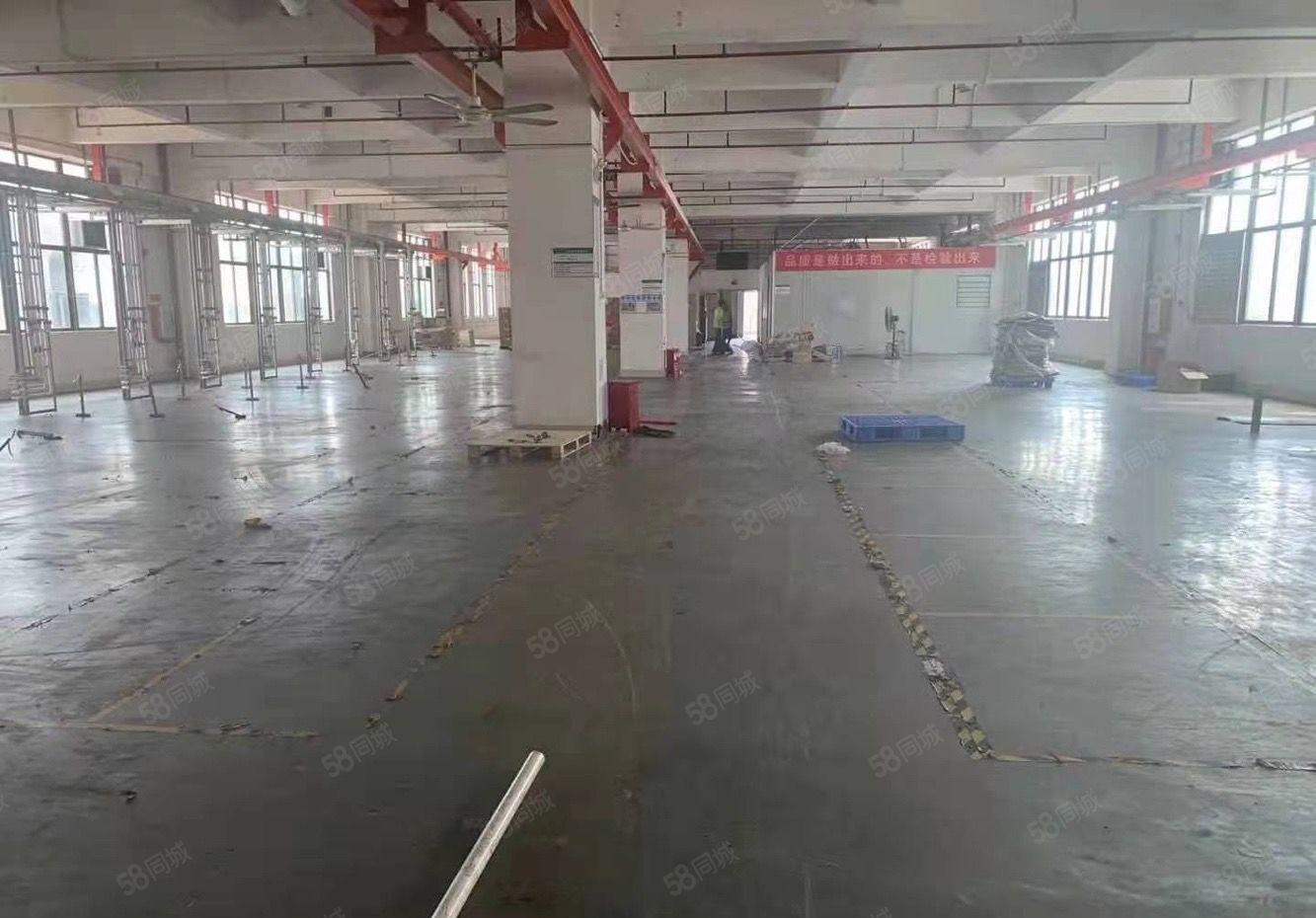 仲恺高新区陈江五一工业区TCL旁1500平带装修厂房出租