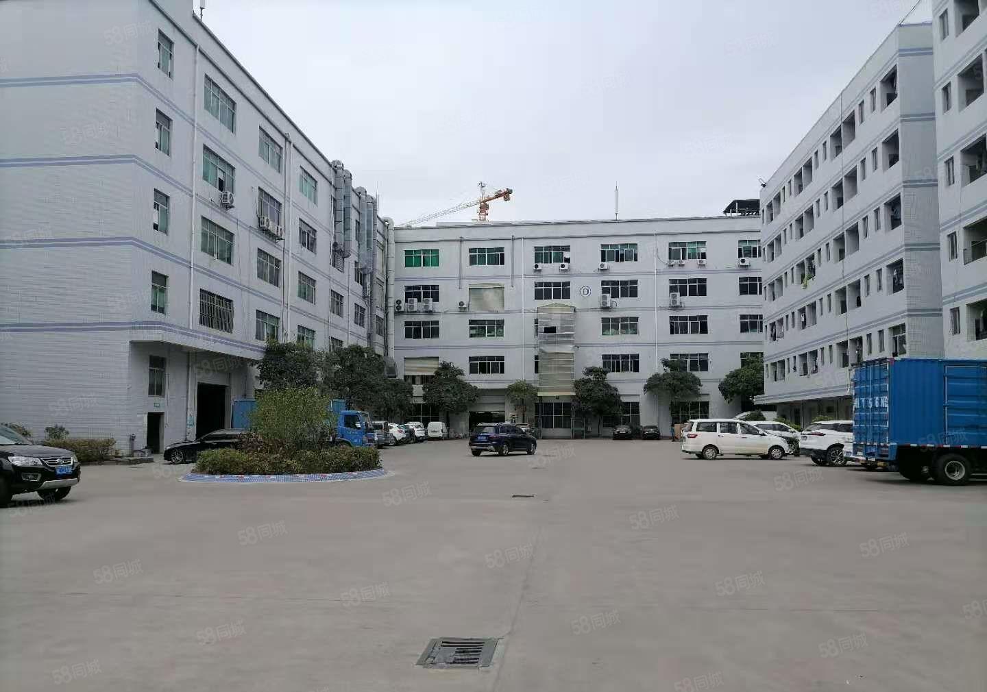 仲恺陈江1730方精装修三楼红本厂房出租无公摊3吨货梯大空地