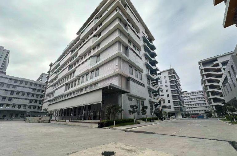 开发商6元仲恺潼湖楼上厂房6米高2000平方实际面积含管理费