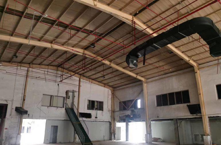 仲恺惠环街道独院厂房1500平~500平起分租~无公摊