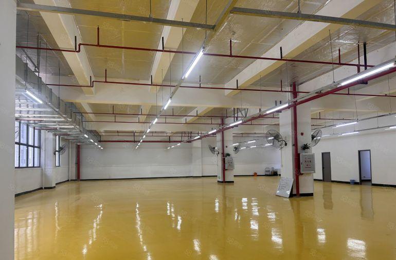 仲恺带精装修厂房2680平出租现成办公室水电低价11块。