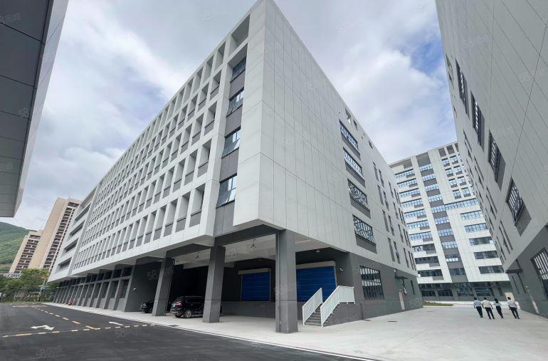 6块惠州仲恺全新红本厂房出租1000平起租可分租仓库带平台