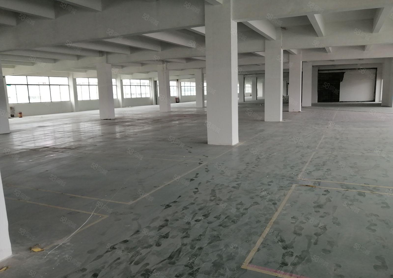 升华工业园一楼3000平带牛角层高7米有环评带装修招租