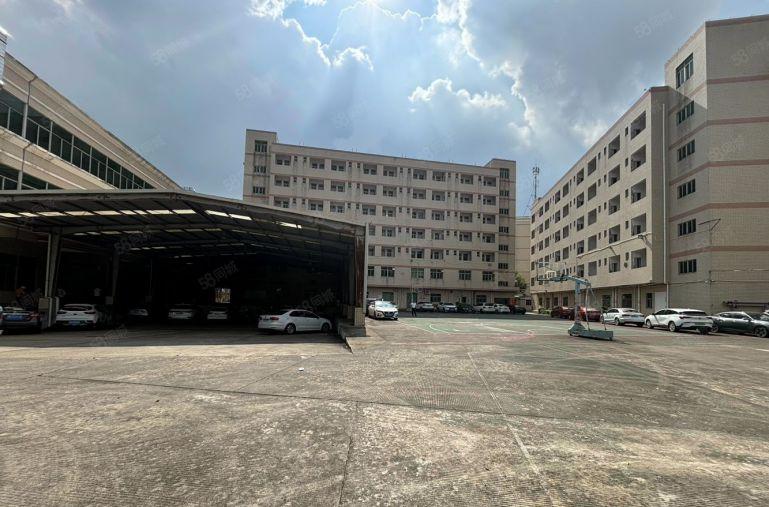 仲恺独院超大空地标准厂房15000平实际面积出租