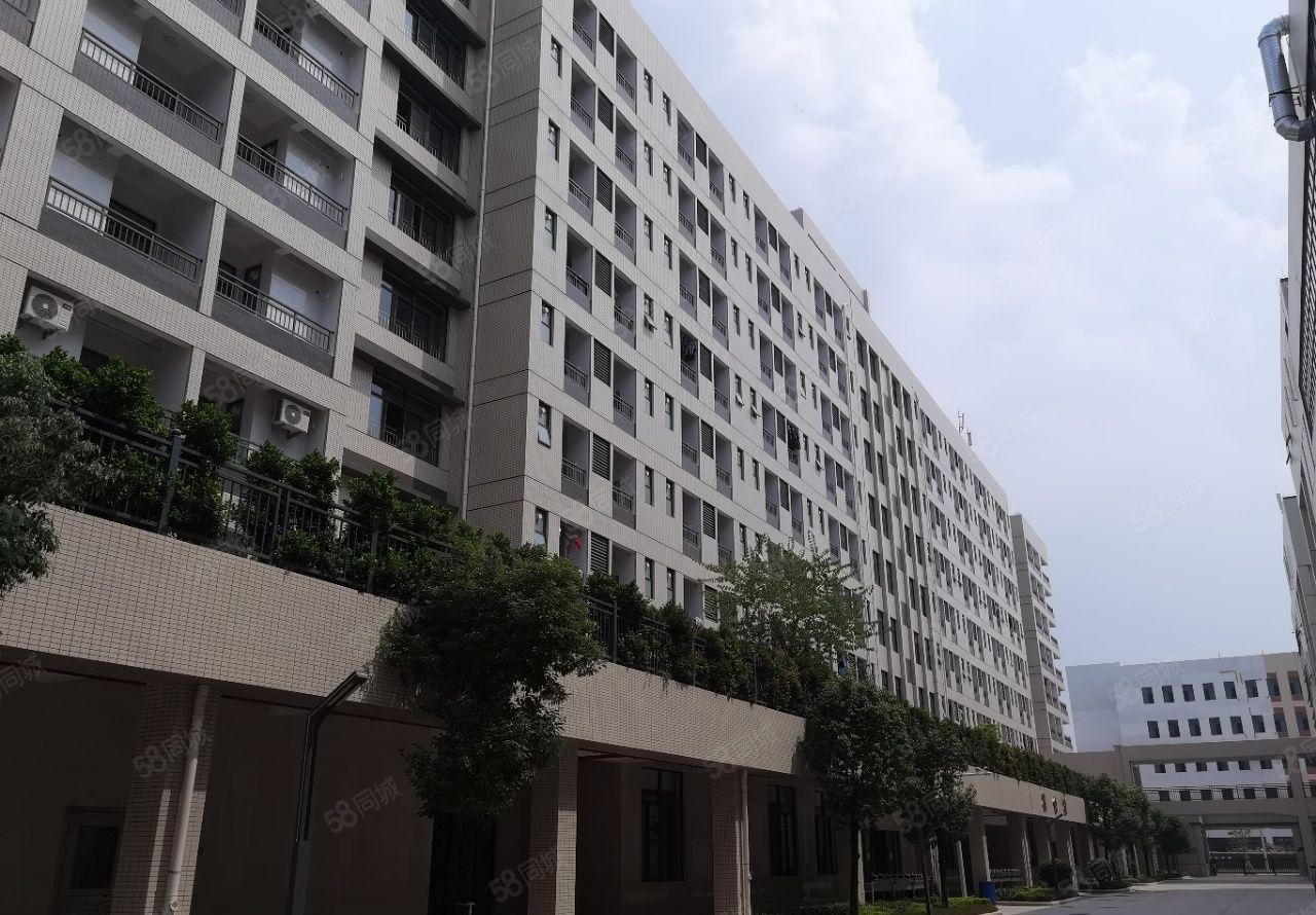 仲恺高新区陈江镇全新高大上标准厂房15000平出租可分租