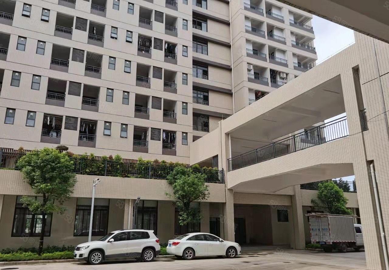 仲恺陈江镇东升村石泉岭路新出独门独院标准厂房，交通便利。