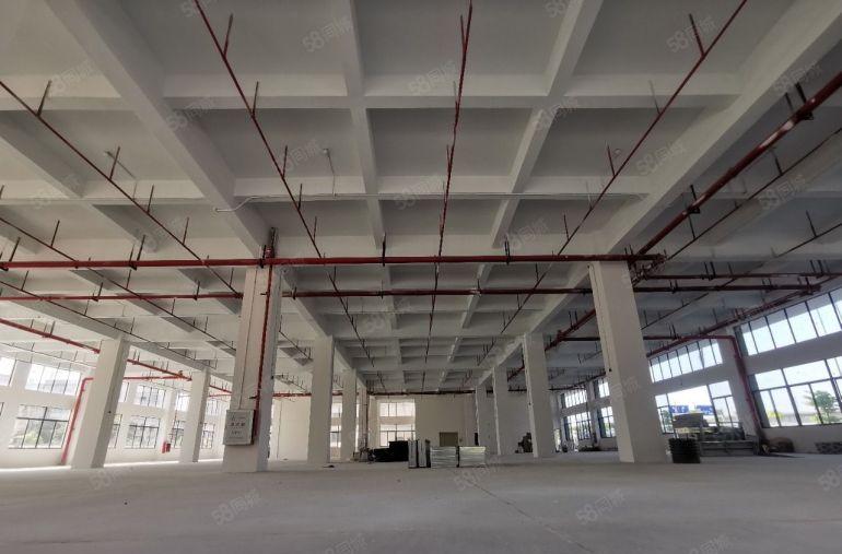 惠州仲恺陈江镇3万平工业厂房原房东成熟配套 12块钱每平出租