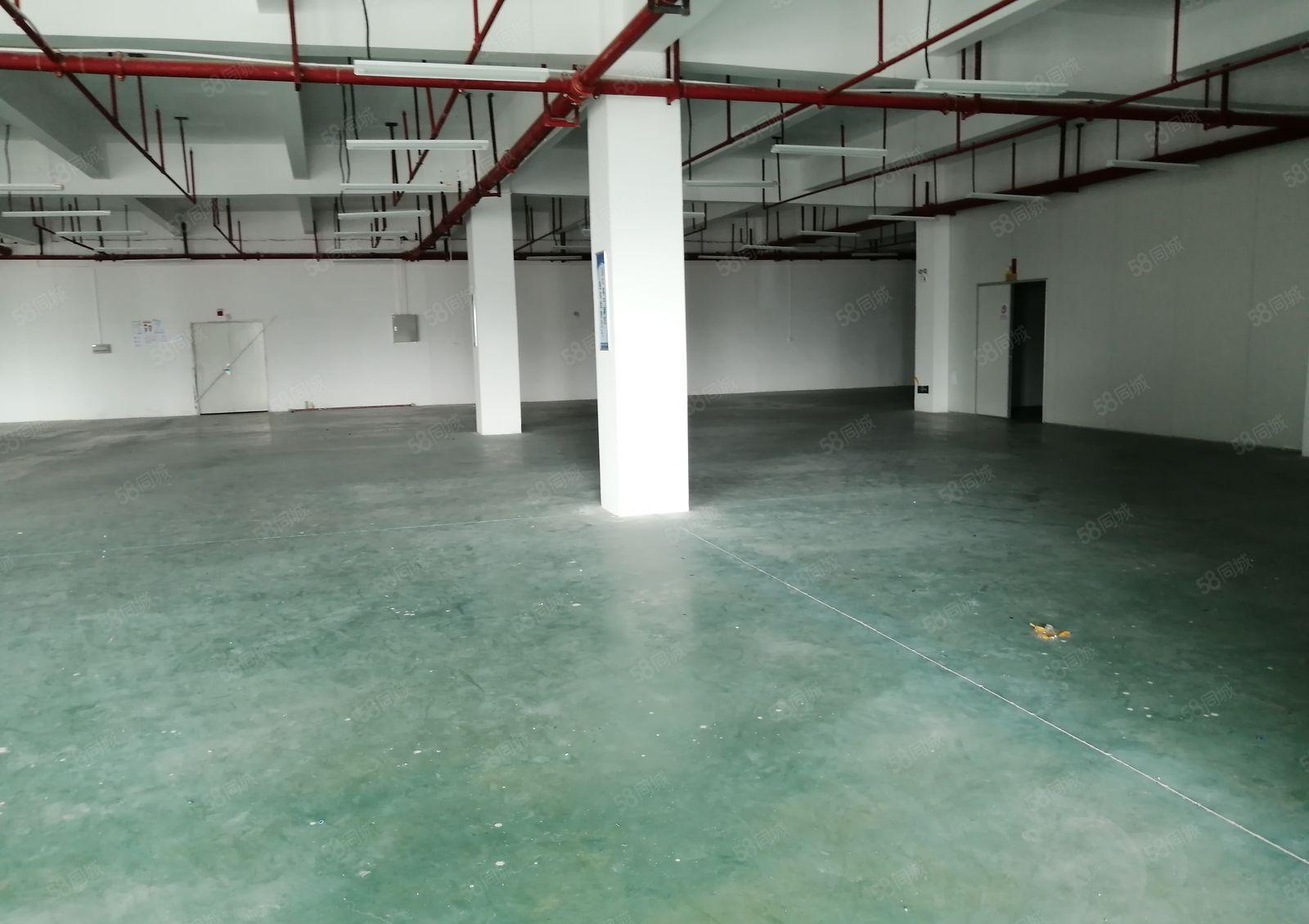 冠展工业园标准厂房1200平带装修有环评靠四环路旁厚房东招租