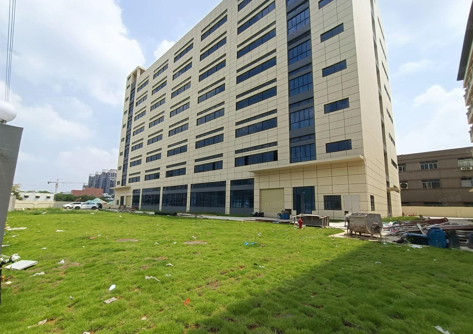 陈江全新红本厂房15000平方招租！带消防喷淋，大小分租！