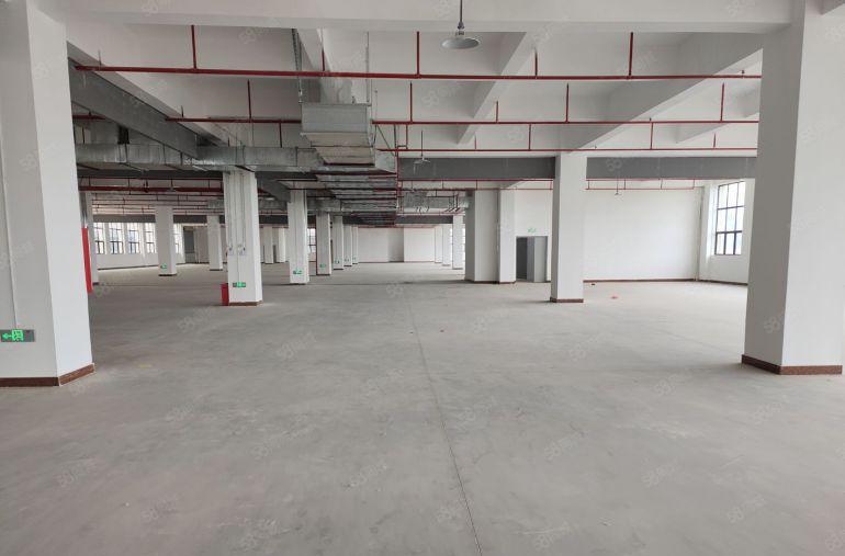 低价10元起仲恺陈江原房东独院20000平方厂房仓库出租一楼