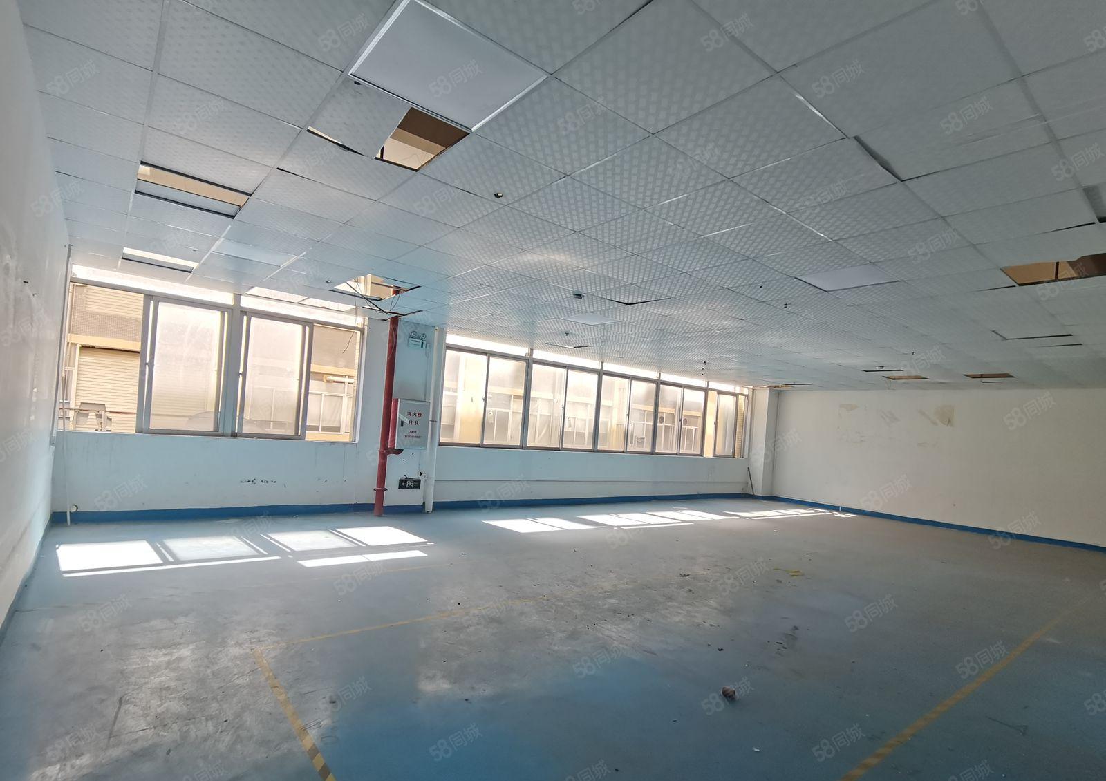 仲恺陈江12米钢构厂房3200平方出租