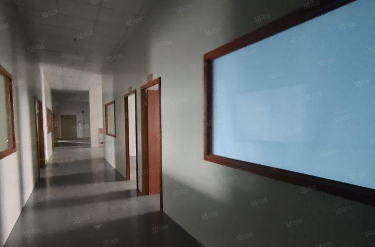 仲恺1400平方精装修厂房低价出租，可分租