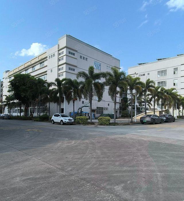 仲恺陈江原房东2000平精装厂房仓库出租 水电齐全 好招工