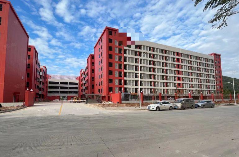 仲恺陈江，全新原房东厂房仓库低价11块出租，大小可分租