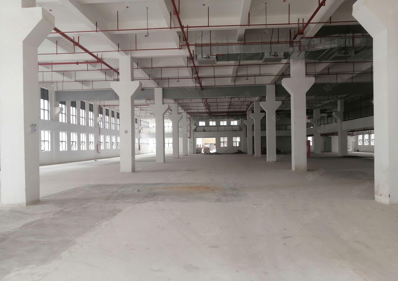 陈江全新500平起小面积厂房出租，证件齐全，带装修，可办环评