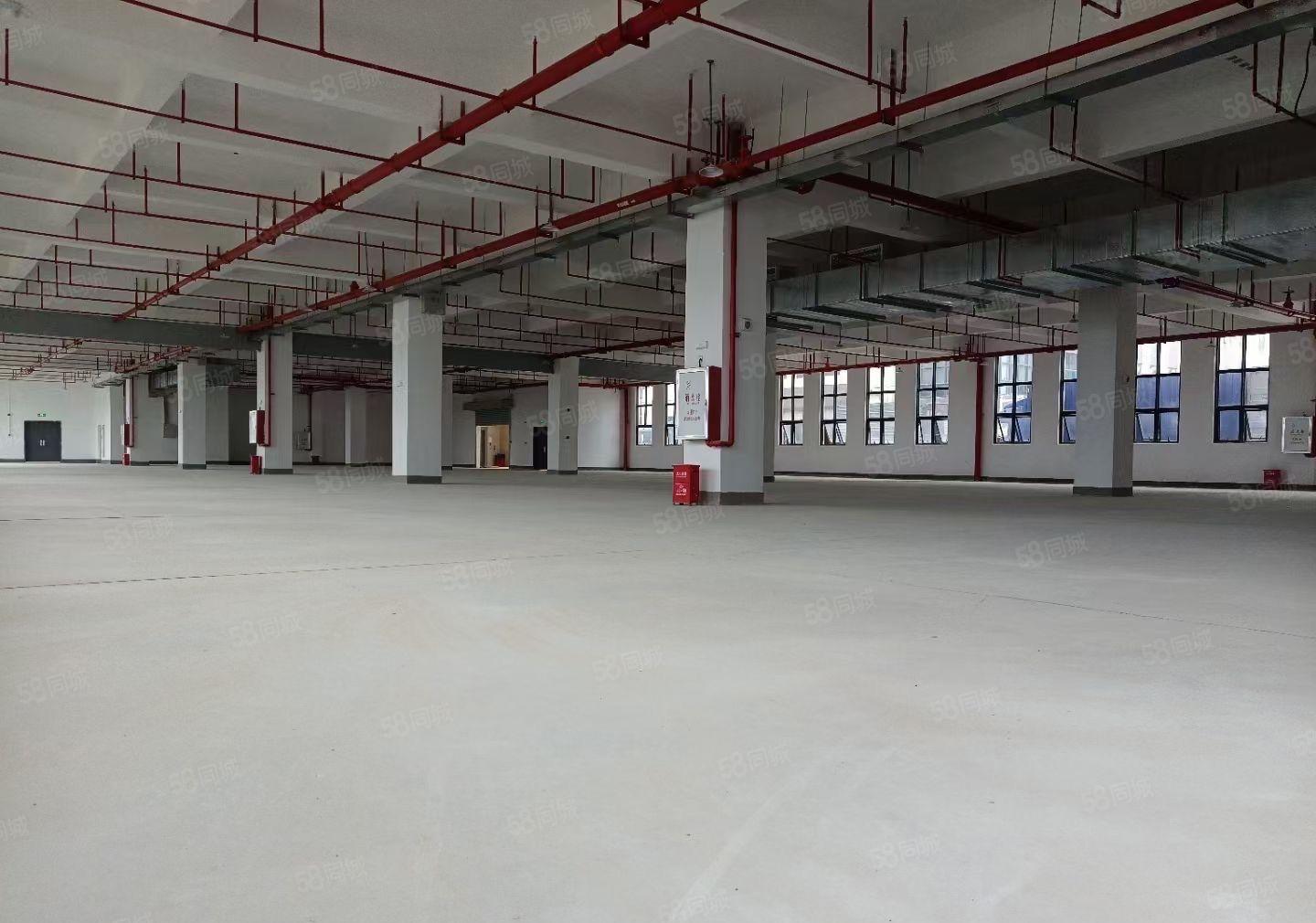 仲恺陈江可做喷油或电池园区厂房