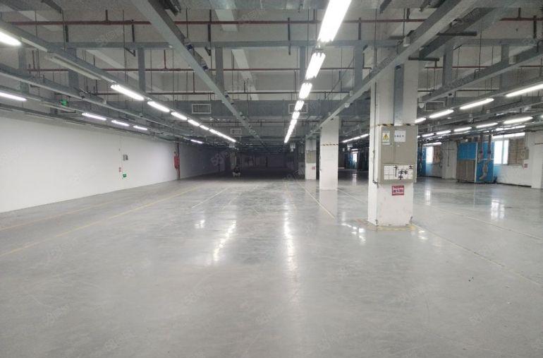 仲恺陈江500平2000平带现成装修 原房东红本厂房仓库出租