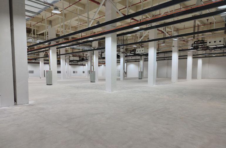 仲恺惠环3万平方独院红本厂房出租一楼1000平起分租可办环评