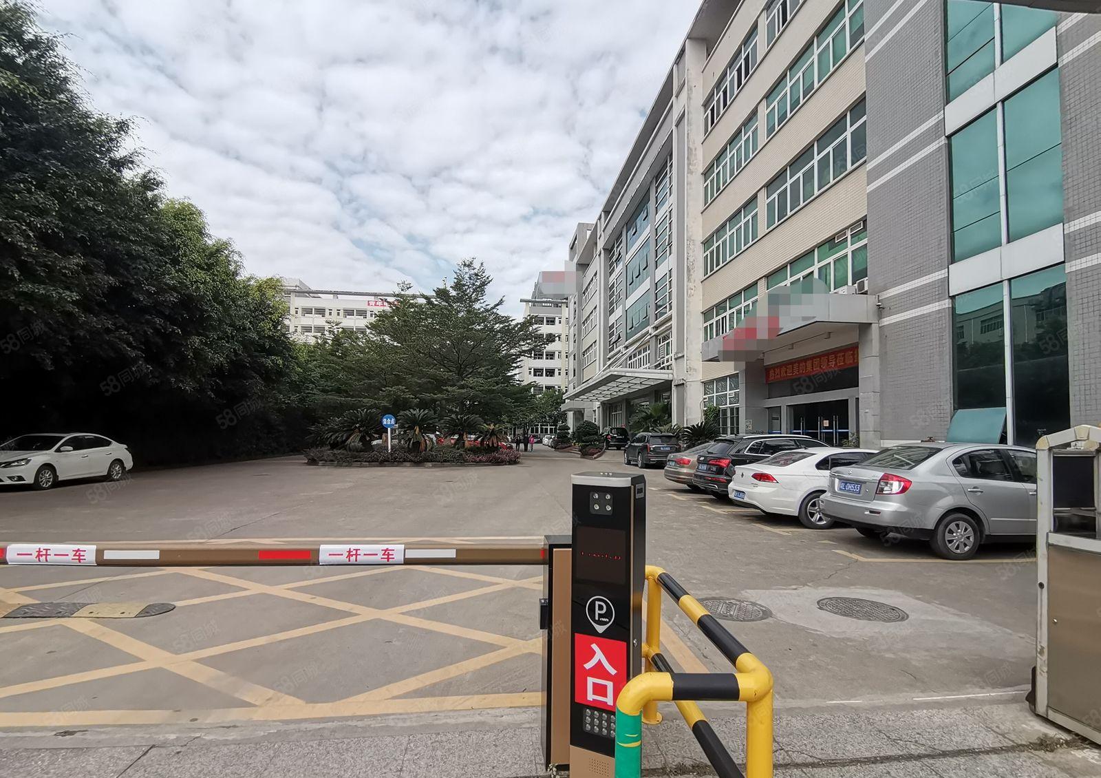 全新精装修环氧自流平地坪漆风淋无尘车间原房东低价出租14元