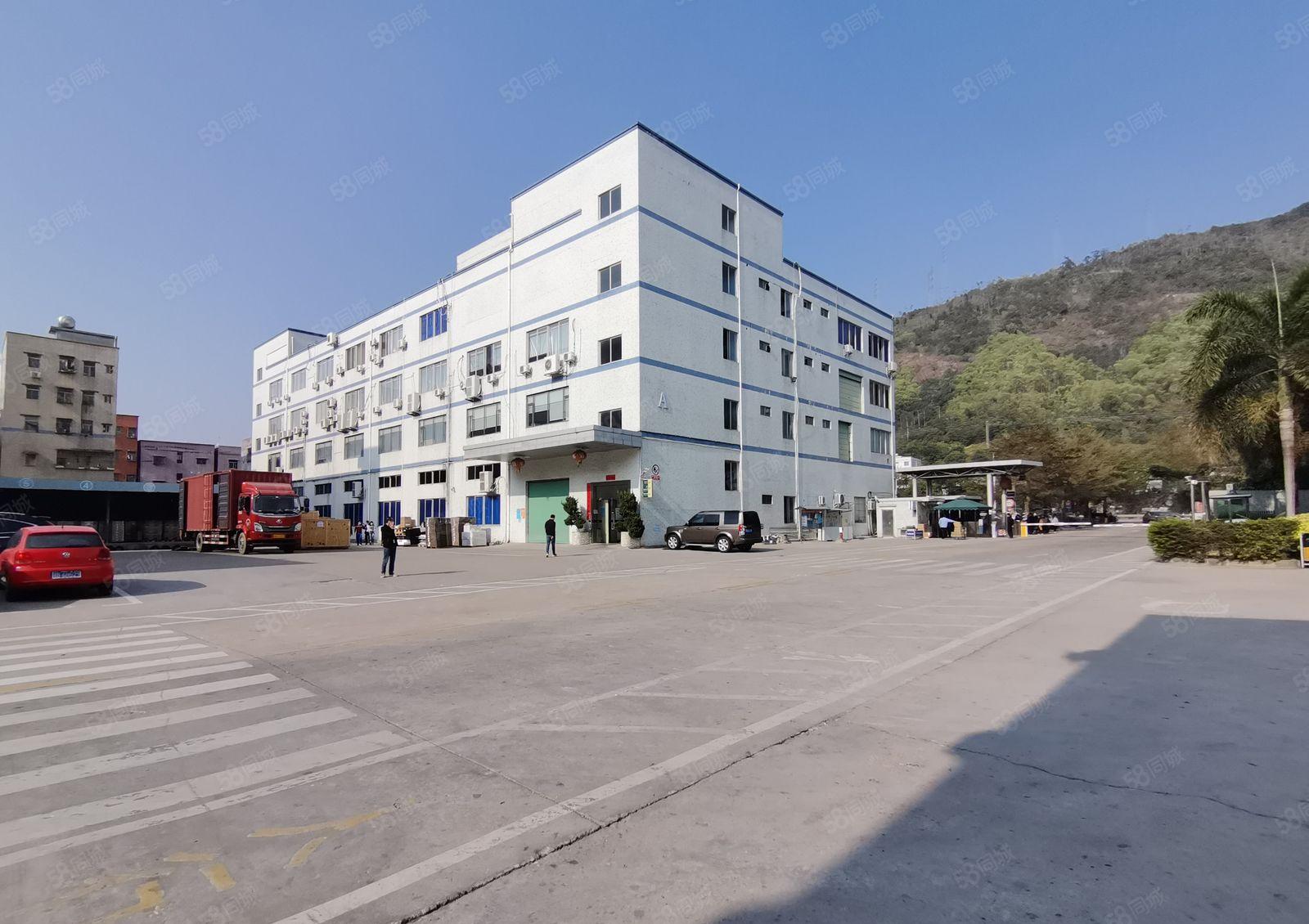 仲恺潼侨镇深新工业区一楼2000平标准厂房招租一手房东带主线