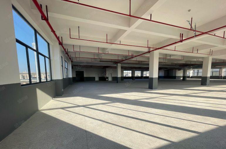 沥林特价12独门独院1600低价实际面积仓库便宜原房东