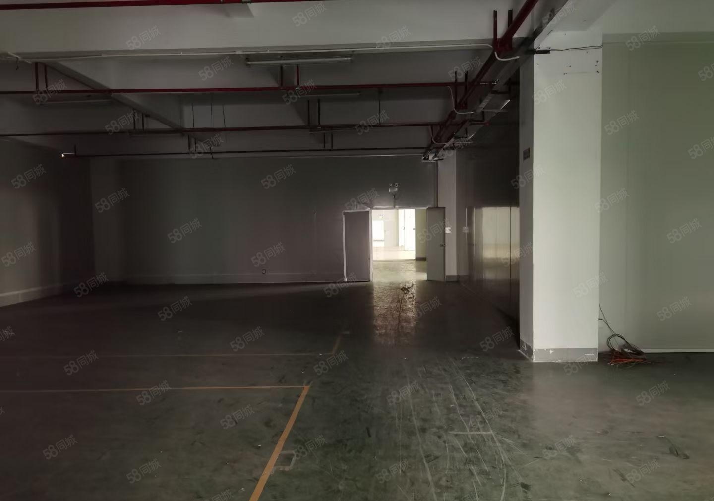 沥林信德盛工业园全新独院红本厂房12000平招租，500起租