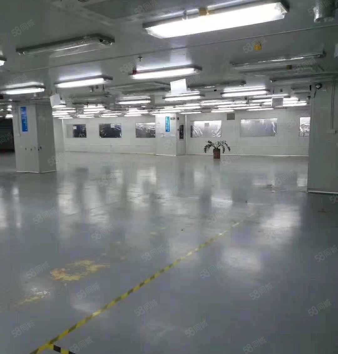 钜惠！陈江8000可分租 层高电子生物产业园厂房仓库出租