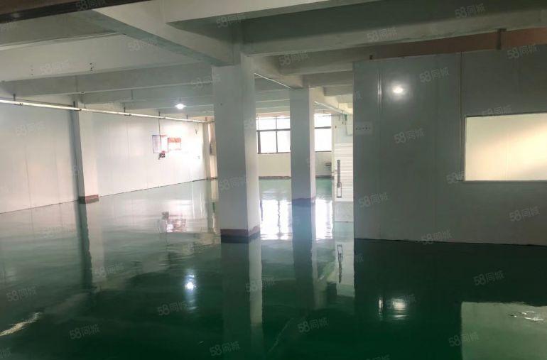 陈江标准厂房550平方带装修