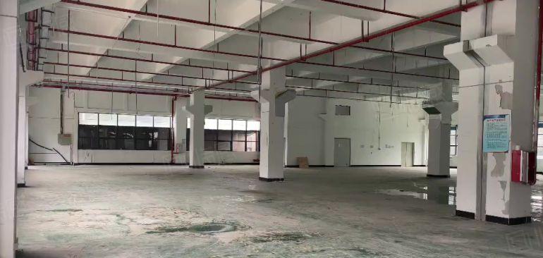 年关特价17块！一楼500平起分租仲恺惠环陈江单层3000平