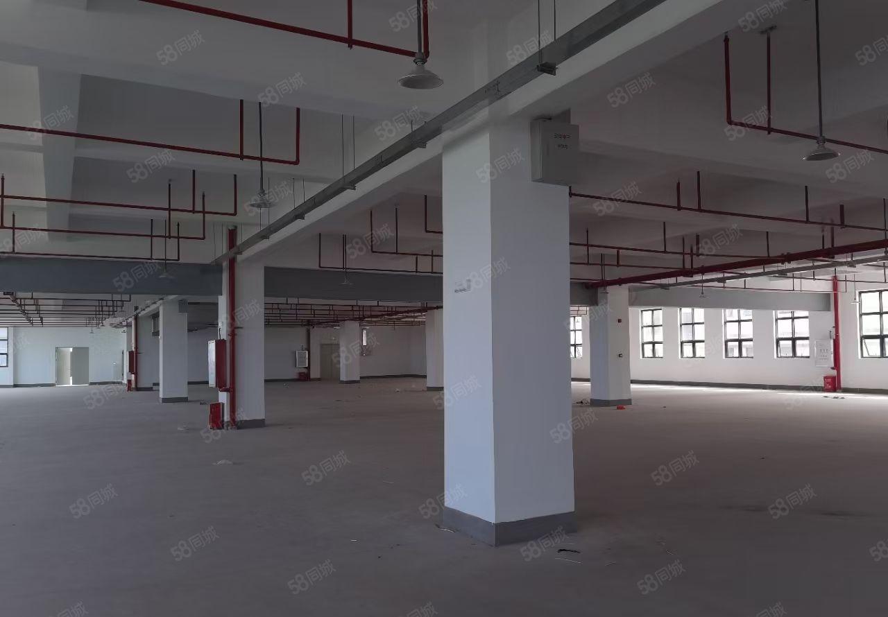 仲恺高新区新出原房东红本重工业标准厂区15000平