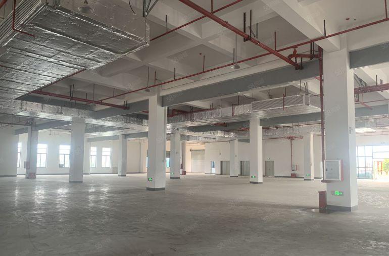 仲恺高新区陈江原房东实际面积厂房出租低价500起分