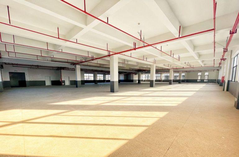 陈江原房东实际面积出租1500平急租仓库物流带装修