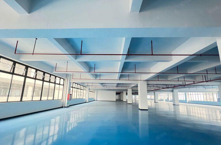 仲恺新出原房东3000平米带地坪漆厂房仓库低价出租有红本可分