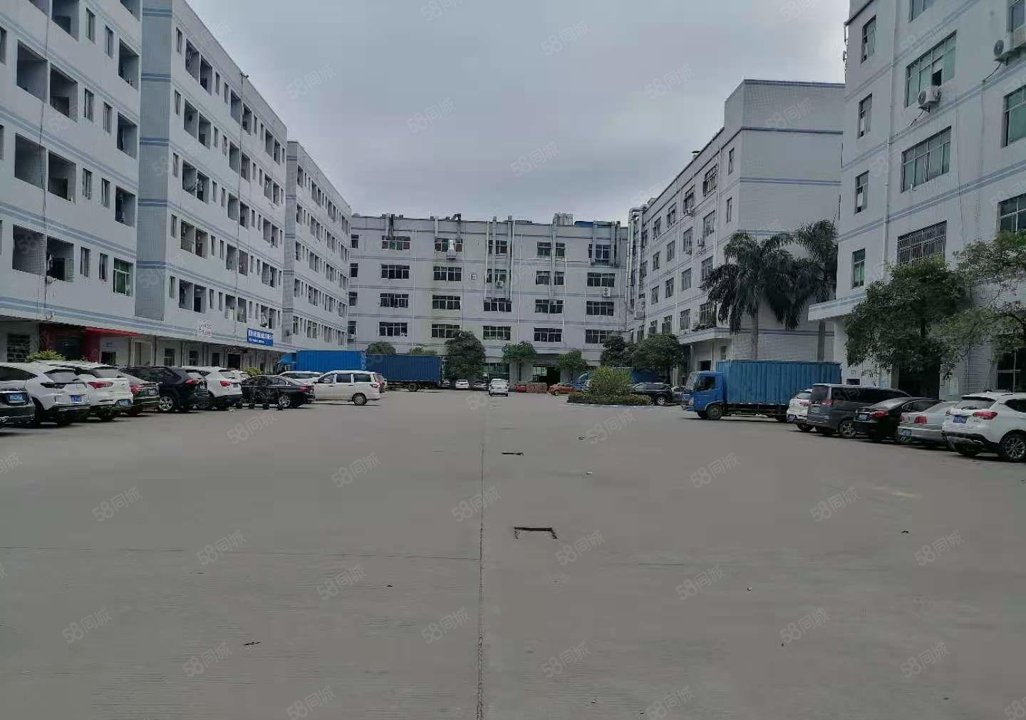 仲恺陈江1730方精装修三楼红本厂房出租无公摊3吨货梯大空地