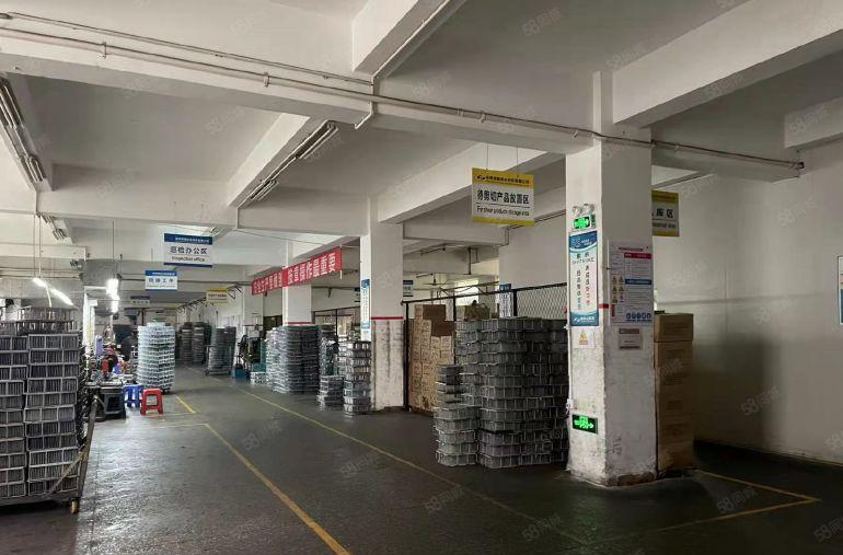 500平起分租 陈江原房东工业园一楼2000平厂房出租带牛角