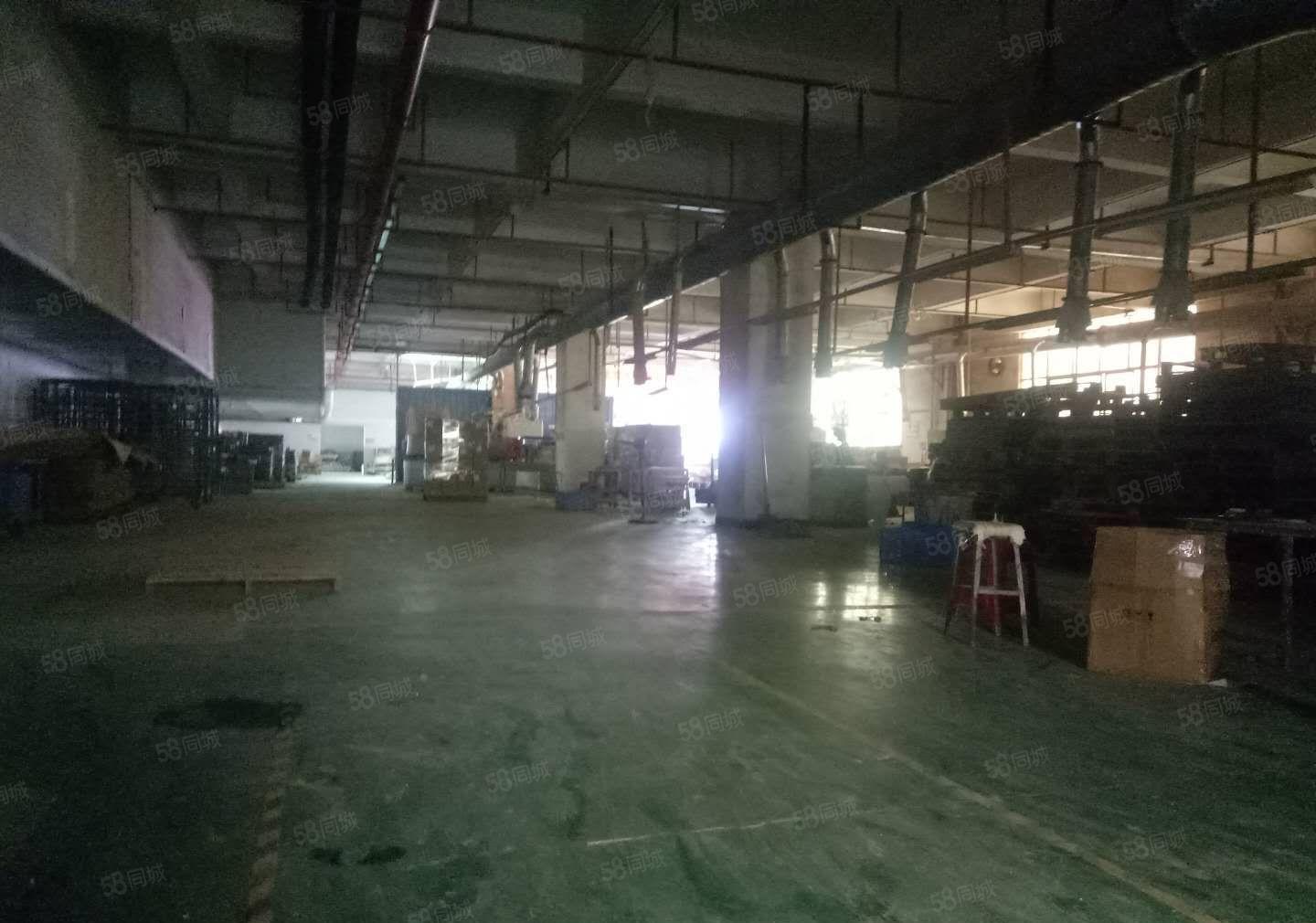 陈江惠环空出小独院2000平滴水8米原房东证件齐全可分组。