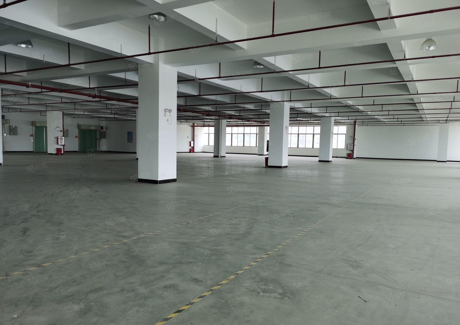大型气派工业园三楼出租