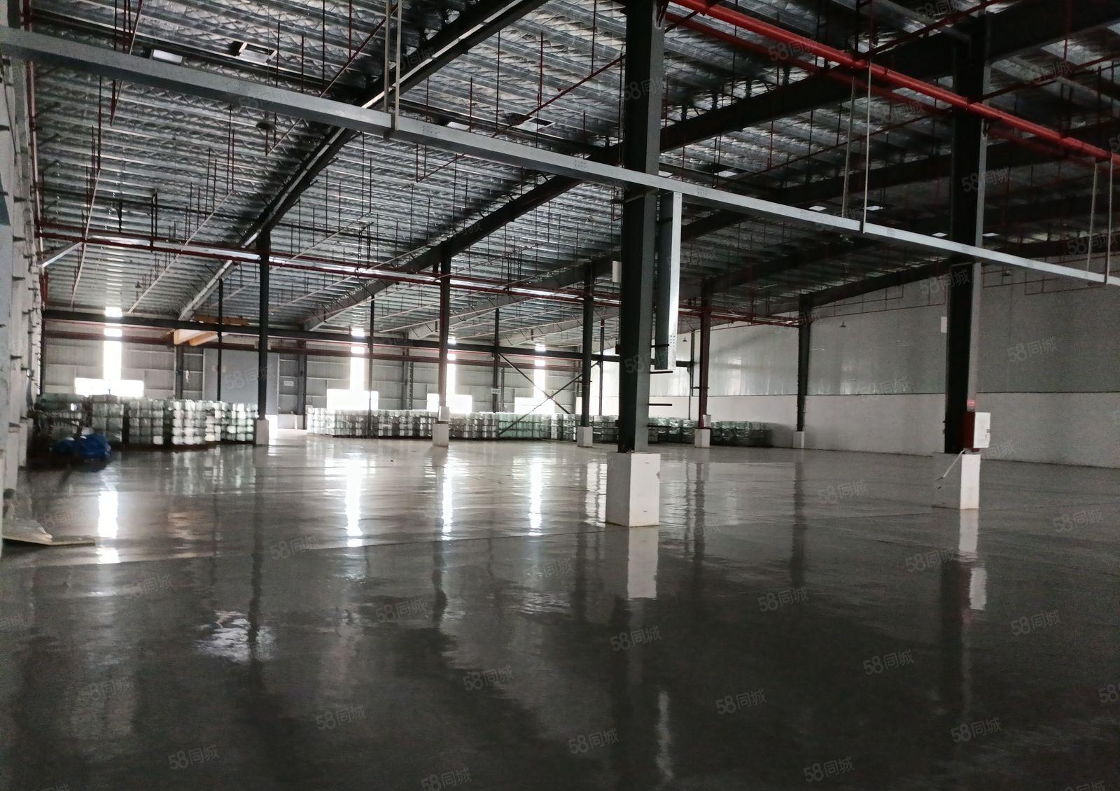 潼湖高速出口独栋钢构厂房出租 3500平米 带装修