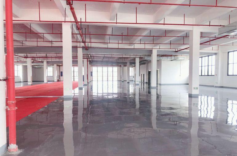 仲恺开发区，形象超A，独栋或分租均可，带精装修，可分租。