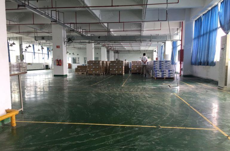 仲恺陈江原房东2000平仓库厂房出租一楼7米200起分租合租