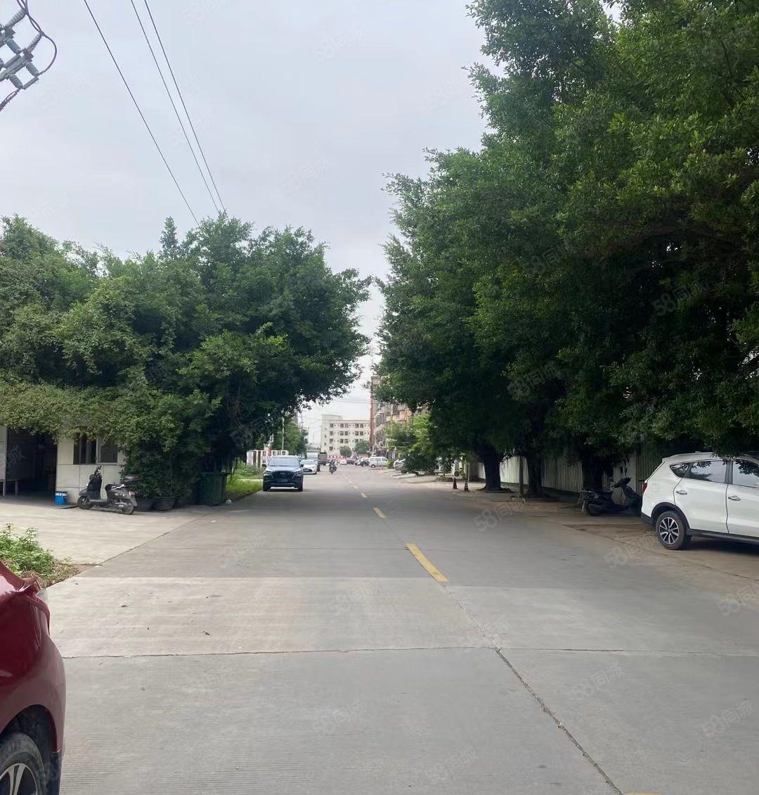 沥林独门独院标准厂房1800平方出租