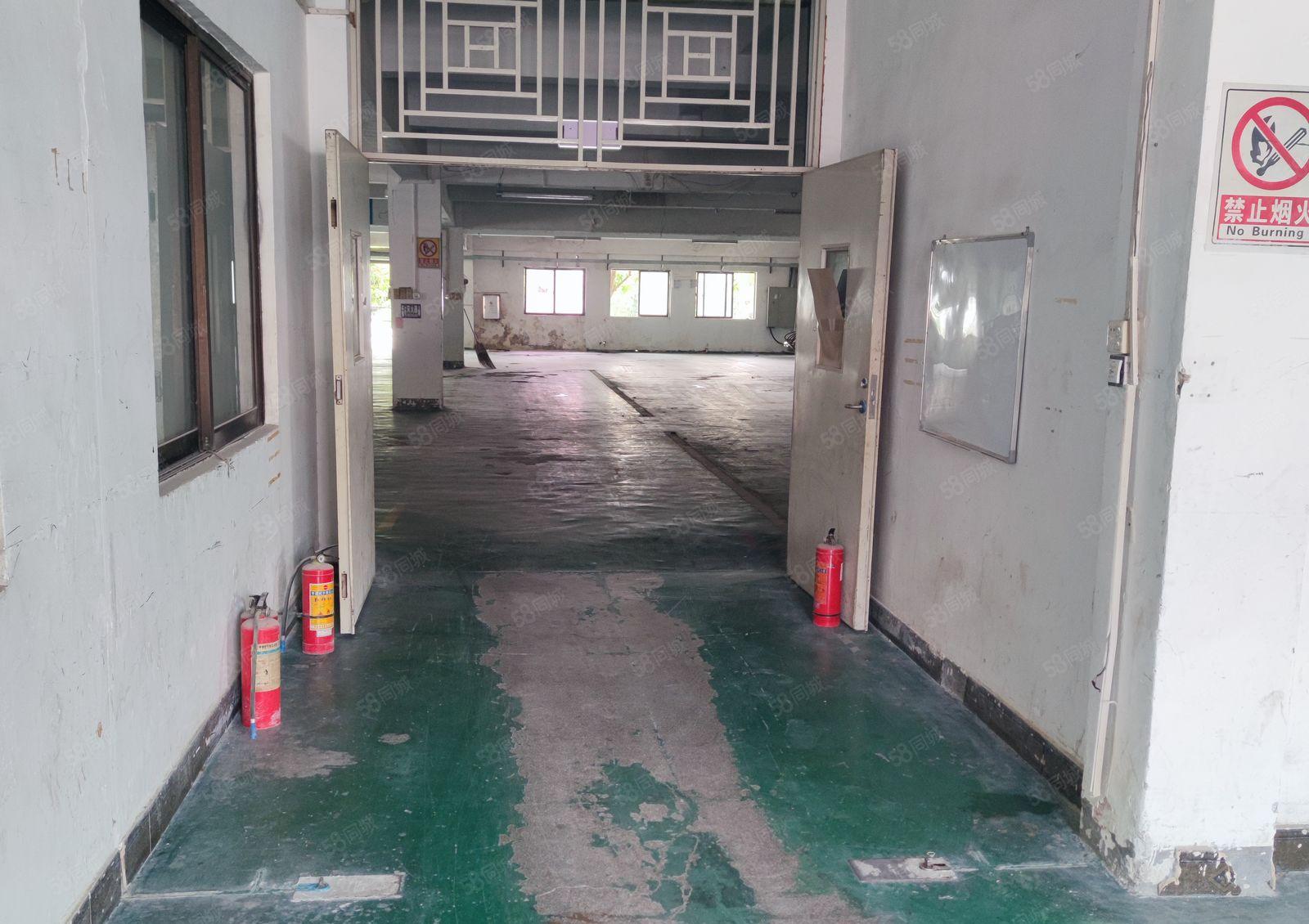 陈江镇，新出独院厂房！证件齐全，交通便利，易招工