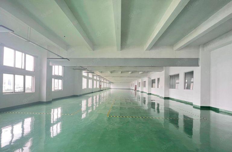 仲恺陈江楼上2000平厂房特价出租带装修现成办公室无须转让费